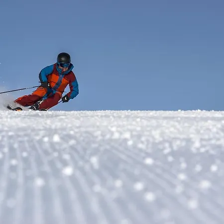 ヒルトン ガーデン ダボス ダヴォス・プラッツ