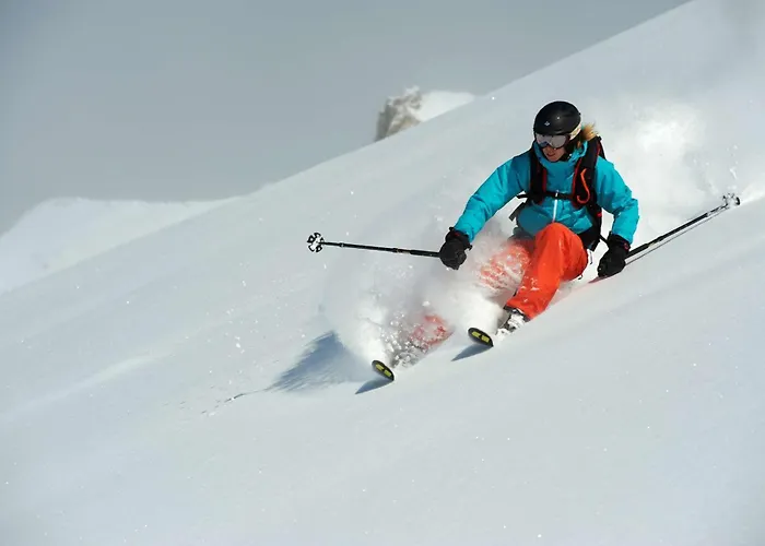 酒店 达沃斯希尔顿花园酒店 达沃斯