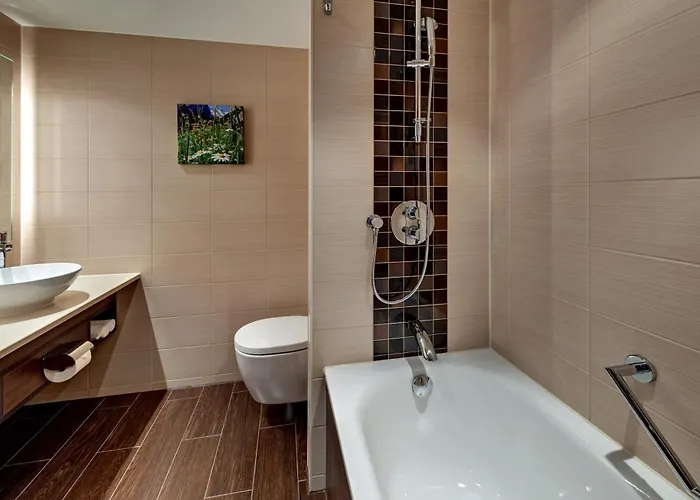 达沃斯希尔顿花园酒店 4*