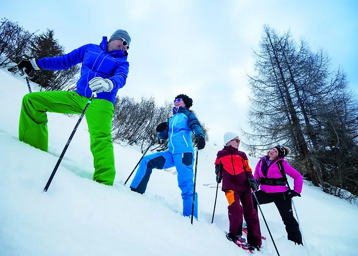酒店 达沃斯希尔顿花园酒店 4*