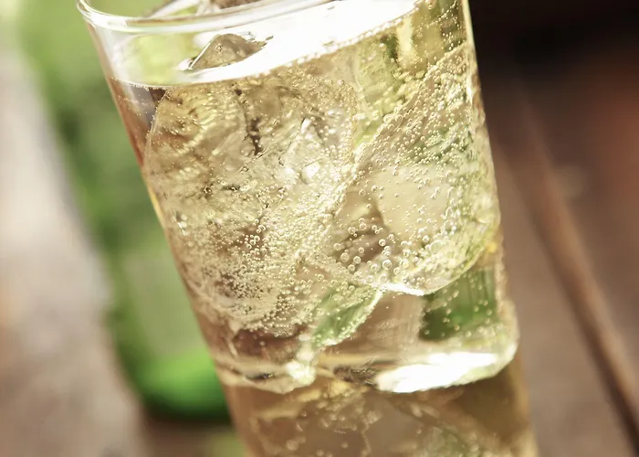 达沃斯希尔顿花园酒店 酒店