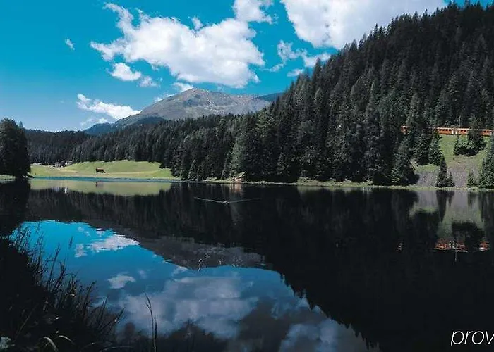 达沃斯希尔顿花园酒店 达沃斯