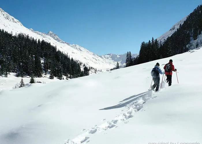 Отель Hilton Garden 4*