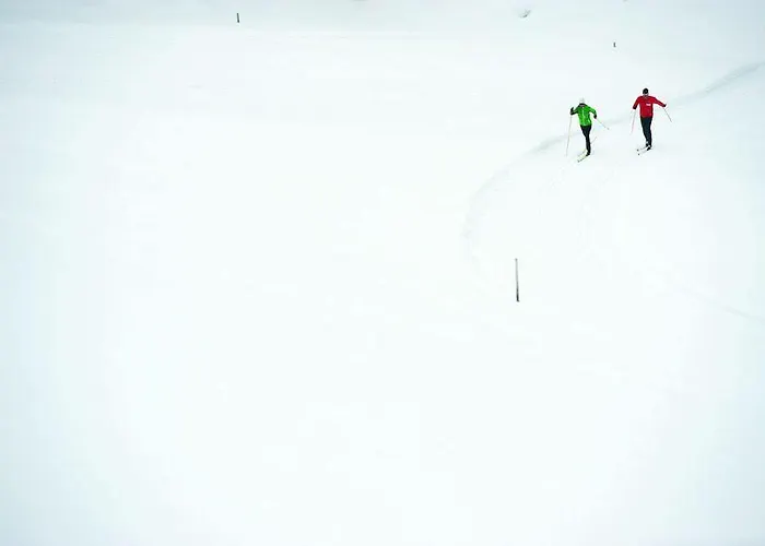 达沃斯希尔顿花园酒店 4* 达沃斯